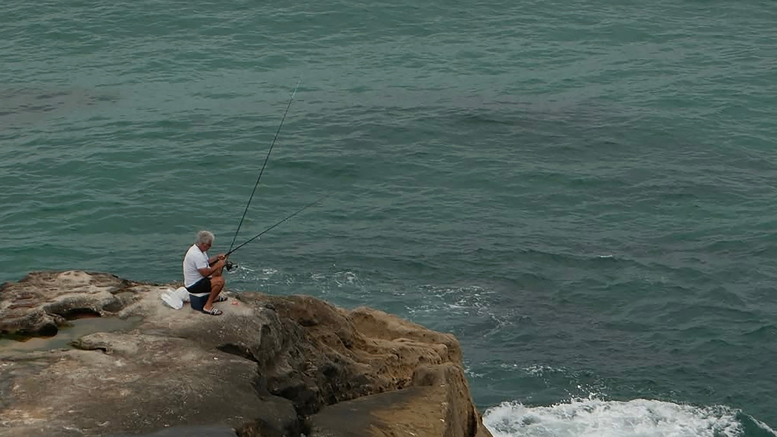 Fisheries Amendment Bill explainer thumbnail