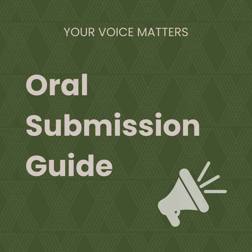 Oral Submission Guide cover